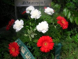 2010. év képei - 2010.05.09. - Tímár Máté koszorúzás